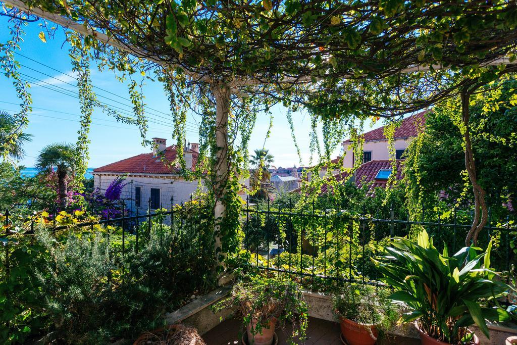 Hedera Estate, Hedera A27 Dubrovnik